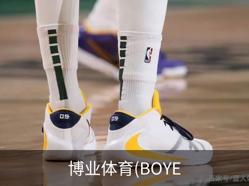 博业体育(BOYE概况